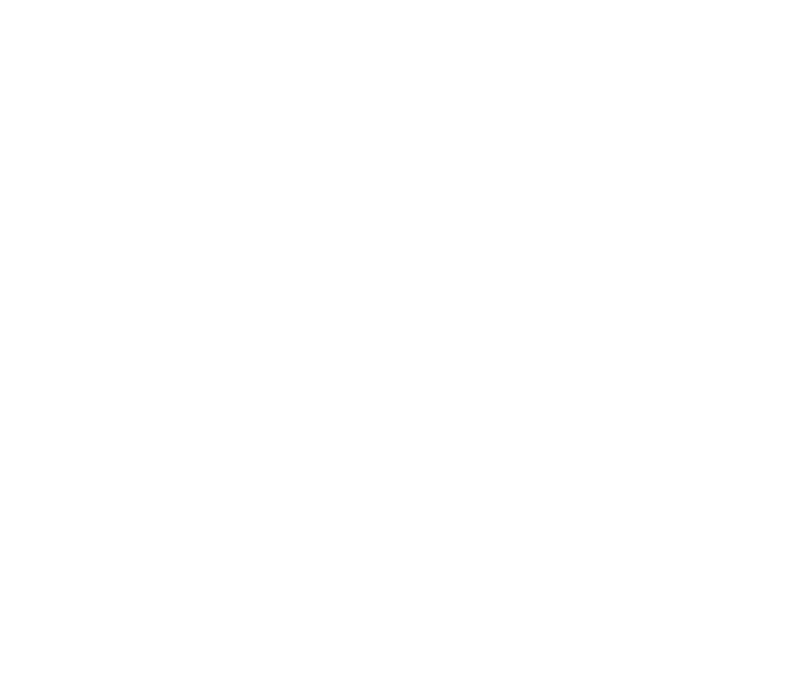 Black Mountain Solutions, Inc.